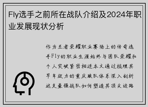 Fly选手之前所在战队介绍及2024年职业发展现状分析